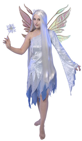 Ice Fairy Adult Costume - Click Image to Close